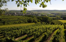 Landscape, © Weinviertel Tourismus / Mandl