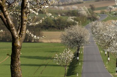 Landscape, © Weinviertel Tourismus / Wurnig