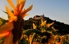 Burgruine Falkenstein, © Weinviertel Tourismus / Mandl