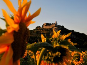 Burgruine Falkenstein, © Weinviertel Tourismus / Mandl