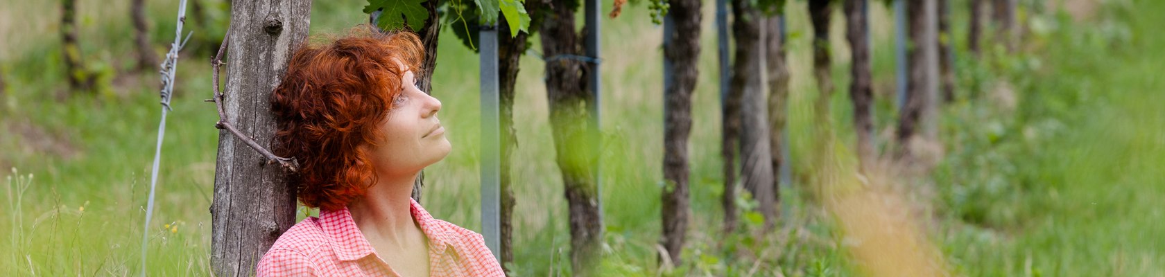 Pilgrim, © Weinviertel Tourismus / Lahofer